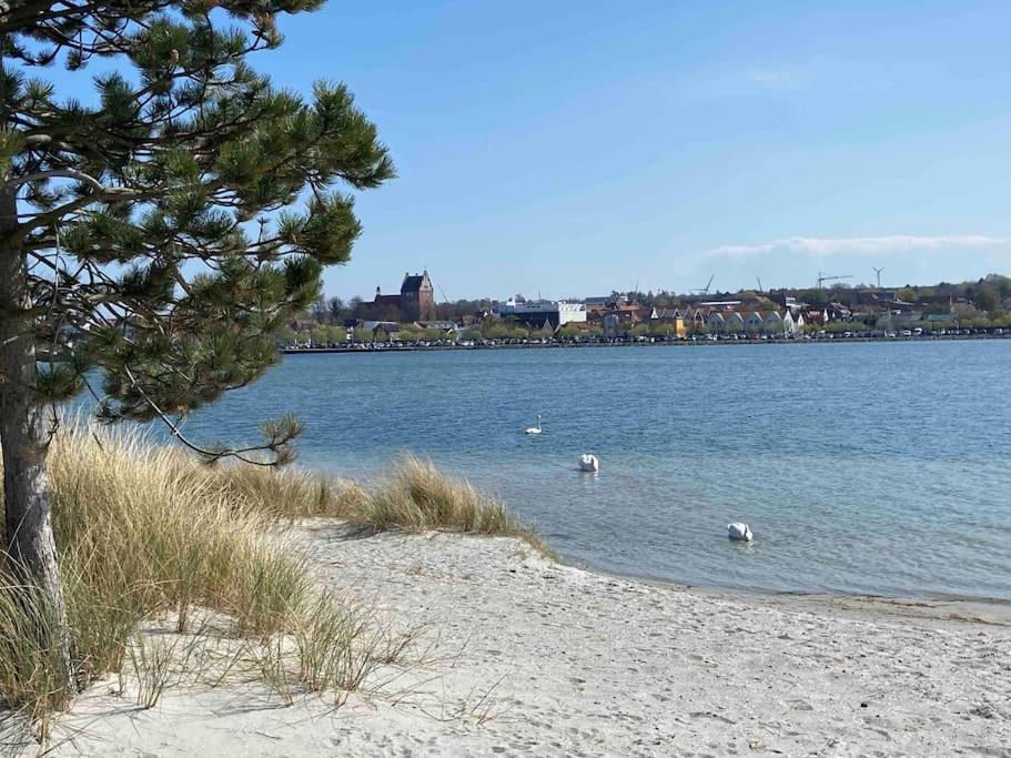 Seaview, Beach, Sunsets, Nature Heiligenhafen Bagian luar foto