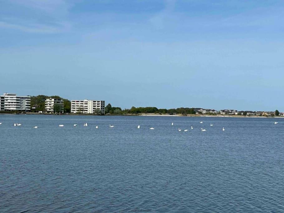 Seaview, Beach, Sunsets, Nature Heiligenhafen Bagian luar foto